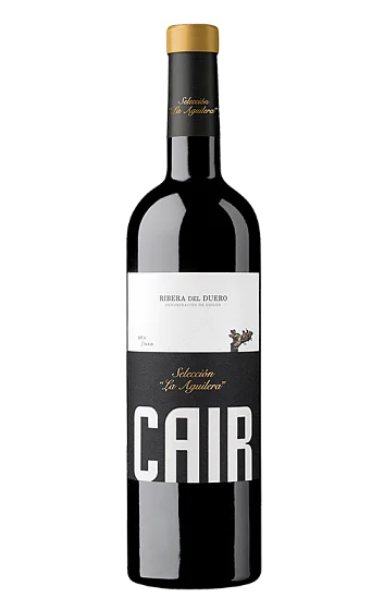 Cair Selección La Aguilera 2021